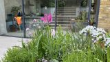 Terraced4
